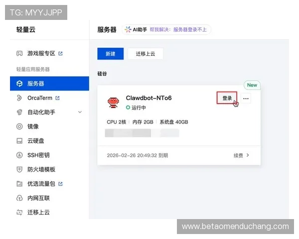 大阳城城网址登录线路遇到问题的快速解决方法指南